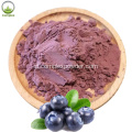 organik 100% bubuk ekstrak blueberry murni